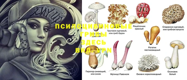 бутират Алзамай