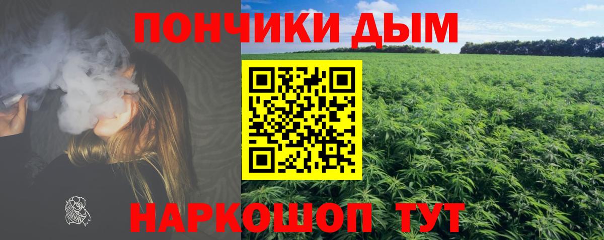 Бошки Шишки THC 21% Усинск